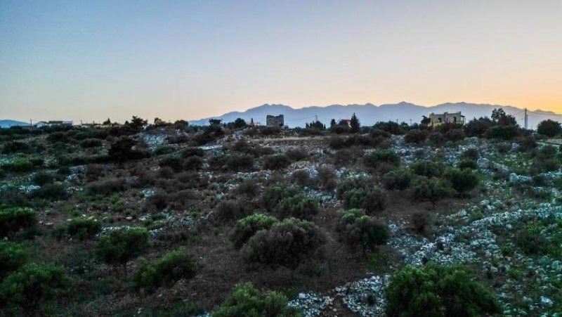 Kefalas Kreta, Kefalas: Grundstück mit atemberaubendem Meerblick zu verkaufen Grundstück kaufen